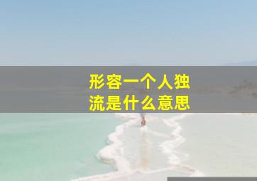 形容一个人独流是什么意思