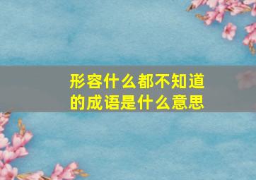 形容什么都不知道的成语是什么意思