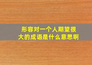 形容对一个人期望很大的成语是什么意思啊