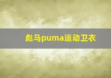 彪马puma运动卫衣