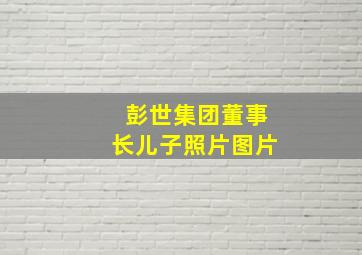 彭世集团董事长儿子照片图片