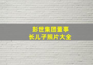 彭世集团董事长儿子照片大全