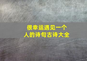 很幸运遇见一个人的诗句古诗大全