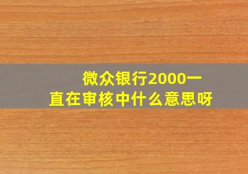 微众银行2000一直在审核中什么意思呀