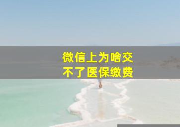 微信上为啥交不了医保缴费