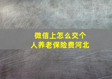 微信上怎么交个人养老保险费河北