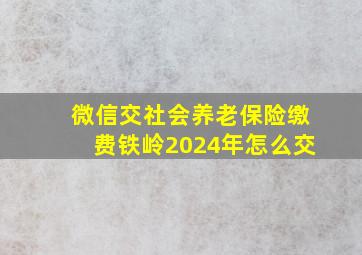 微信交社会养老保险缴费铁岭2024年怎么交