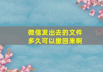 微信发出去的文件多久可以撤回来啊