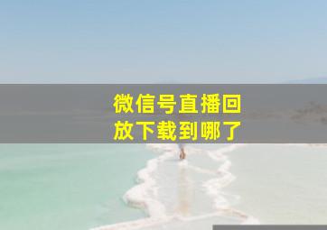 微信号直播回放下载到哪了