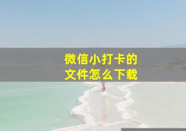 微信小打卡的文件怎么下载