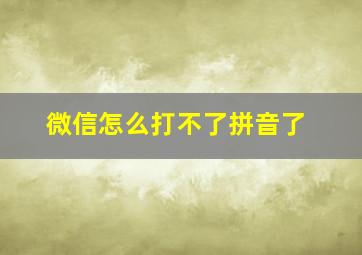 微信怎么打不了拼音了