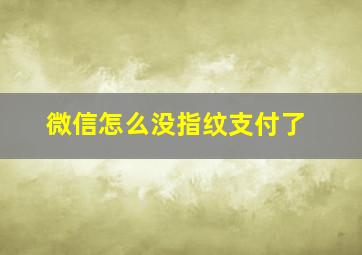 微信怎么没指纹支付了