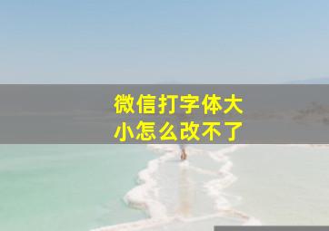 微信打字体大小怎么改不了