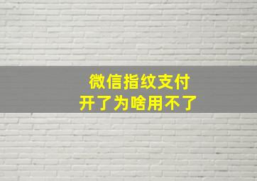 微信指纹支付开了为啥用不了