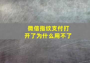 微信指纹支付打开了为什么用不了