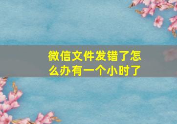 微信文件发错了怎么办有一个小时了