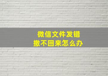 微信文件发错撤不回来怎么办