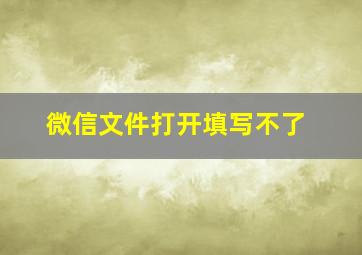 微信文件打开填写不了