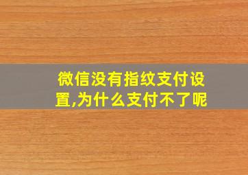 微信没有指纹支付设置,为什么支付不了呢