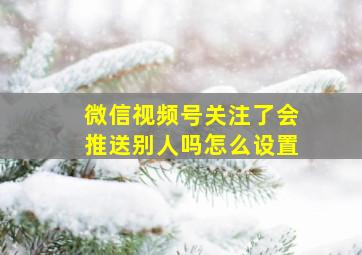 微信视频号关注了会推送别人吗怎么设置