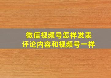 微信视频号怎样发表评论内容和视频号一样