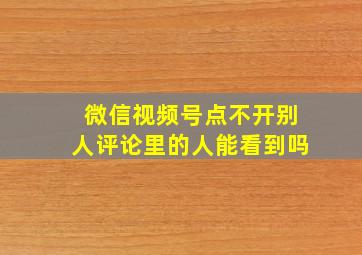 微信视频号点不开别人评论里的人能看到吗