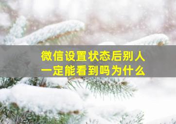 微信设置状态后别人一定能看到吗为什么