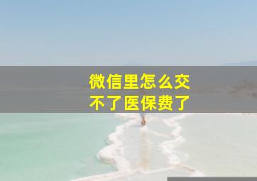 微信里怎么交不了医保费了