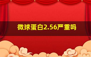 微球蛋白2.56严重吗