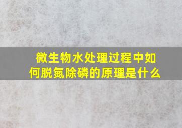 微生物水处理过程中如何脱氮除磷的原理是什么