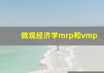 微观经济学mrp和vmp