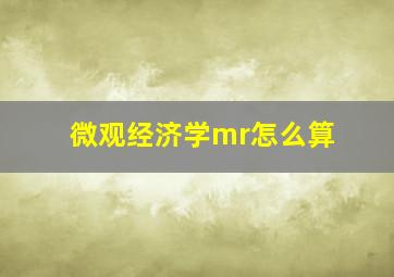 微观经济学mr怎么算