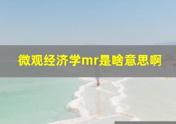 微观经济学mr是啥意思啊