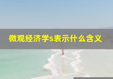 微观经济学s表示什么含义