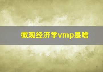 微观经济学vmp是啥