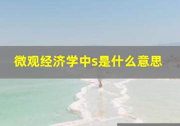 微观经济学中s是什么意思