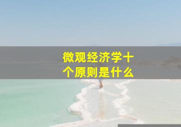 微观经济学十个原则是什么