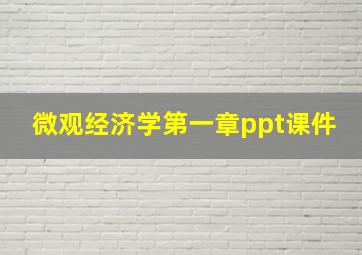 微观经济学第一章ppt课件