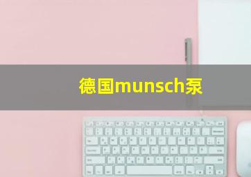 德国munsch泵