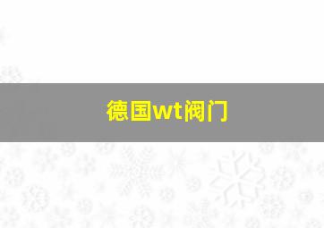 德国wt阀门