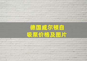 德国威尔顿自吸泵价格及图片