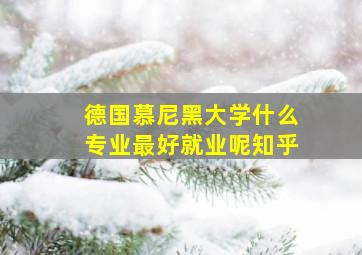 德国慕尼黑大学什么专业最好就业呢知乎