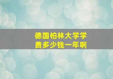 德国柏林大学学费多少钱一年啊