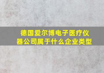 德国爱尔博电子医疗仪器公司属于什么企业类型