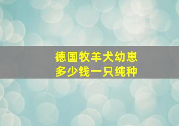 德国牧羊犬幼崽多少钱一只纯种