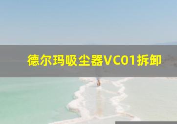 德尔玛吸尘器VC01拆卸