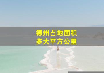 德州占地面积多大平方公里