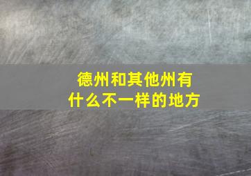 德州和其他州有什么不一样的地方