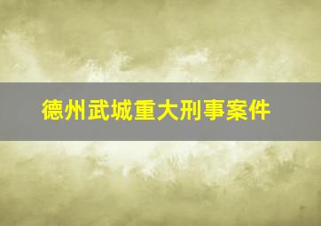 德州武城重大刑事案件