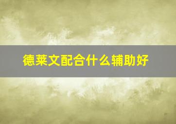 德莱文配合什么辅助好